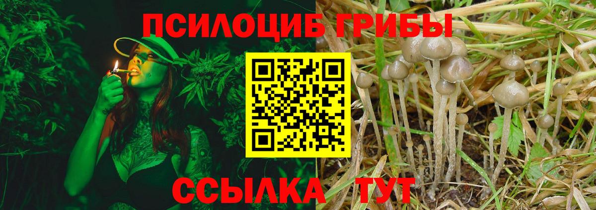 Галлюциногенные грибы GOLDEN TEACHER  Вход с VPN  Ипатово  Галлюциногенные грибы Cubensis 